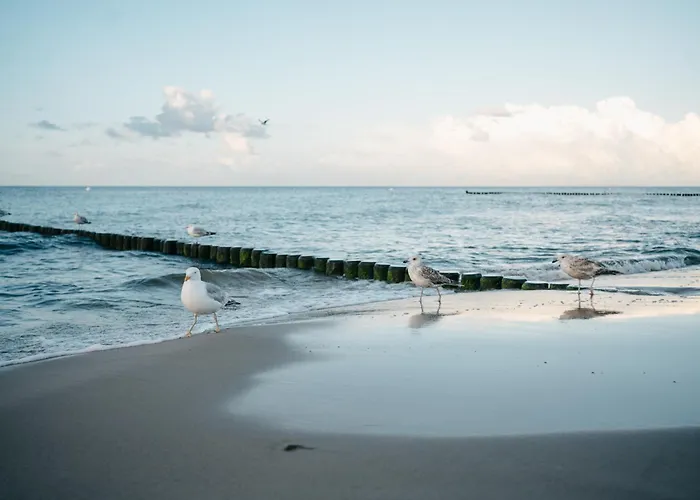 Kamphof Usedom Ferienanlage